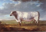 Thomas Alder A Prize Bull oil on canvas